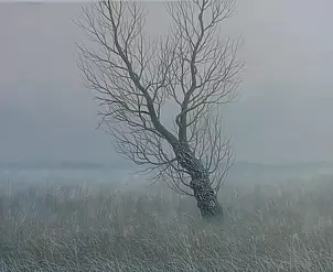   - Tree in the meadow