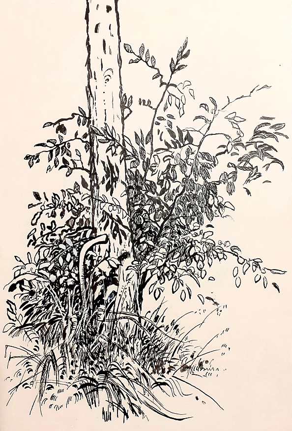 Rafał Czwichocki - Tree