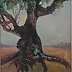 Urszula Klimek - Drzewo