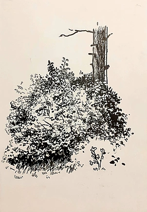 Rafał Czwichocki - A tree in the forest