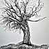 Alicja Wysocka - A tree with traditions