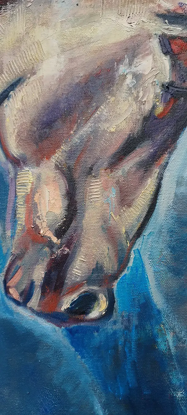 Justyna Zielonka - Duch konia 2