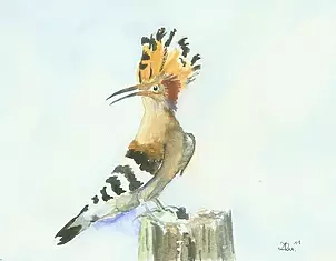 Zdzisław Rutkowski - Dudek