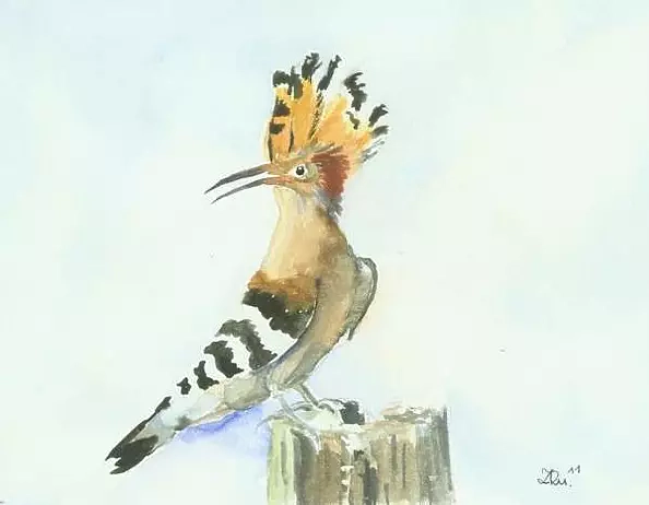 Zdzisław Rutkowski - Dudek