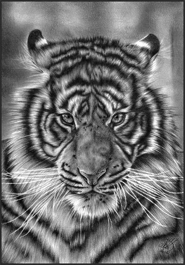 Małgorzata Kwiatkowska - Duduk of the North.