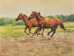 Andrzej Hamera - Dwa galopujące konie