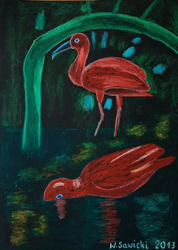 Wiesław Sawicki - two ibises