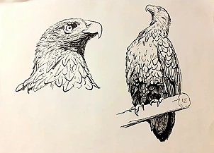 Rafał Czwichocki - Two eagles