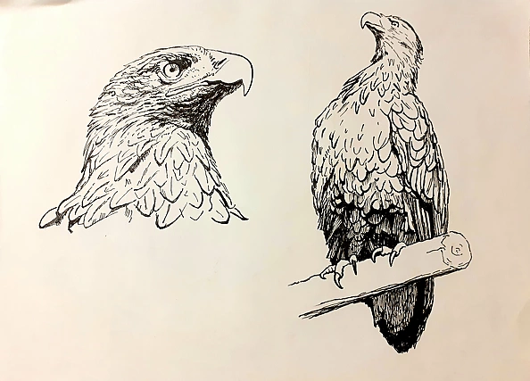 Rafał Czwichocki - Dwa orły