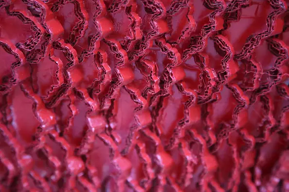 Aldona Zając - Two worlds