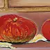 Jadwiga Rudnicka - pumpkins
