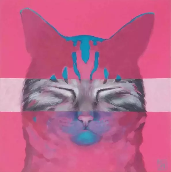 Jadwiga Wolska - Dyzio