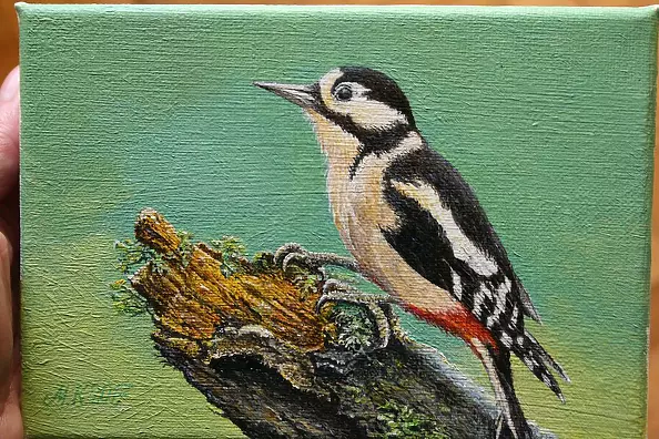 Mirosław Kowzanowicz - Woodpecker