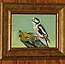 Mirosław Kowzanowicz - Woodpecker