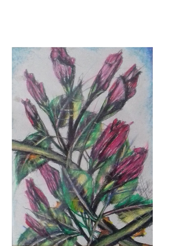 Rafał Jarosz - Ten Unbloomed Roses