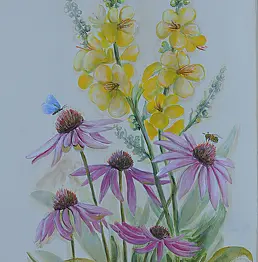 Katarzyna Niemczak - Mullein and Echinacea