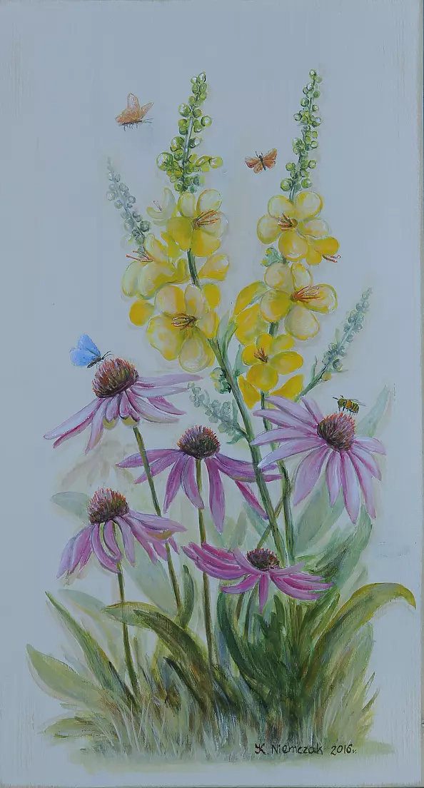 Katarzyna Niemczak - Mullein and Echinacea