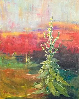   - Mullein in the sun