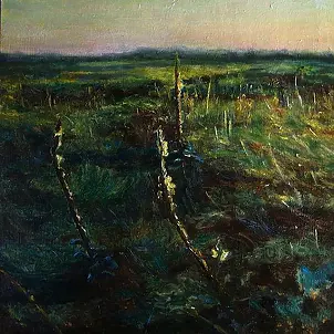 Magdalena Skrzyńska - Dziewanny