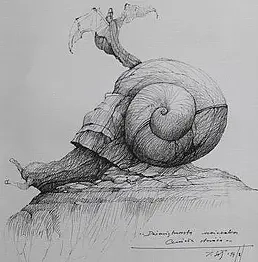 Jan Sumiga - Nineteenth escape Guardian Angel