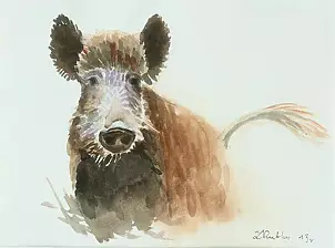 Zdzisław Rutkowski - Boar