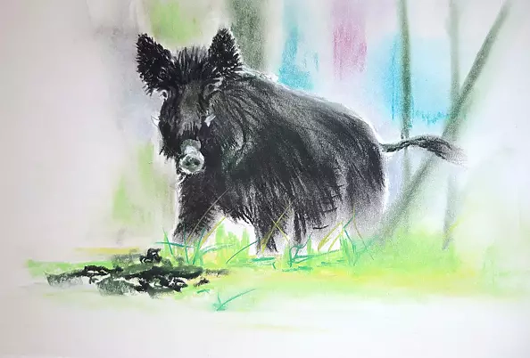 Zdzisław Rutkowski - Dzik