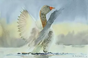 Zdzisław Rutkowski - Dzika gęś
