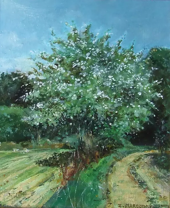 Zbigniew Starczewski - crab-apple