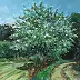 Zbigniew Starczewski - crab-apple
