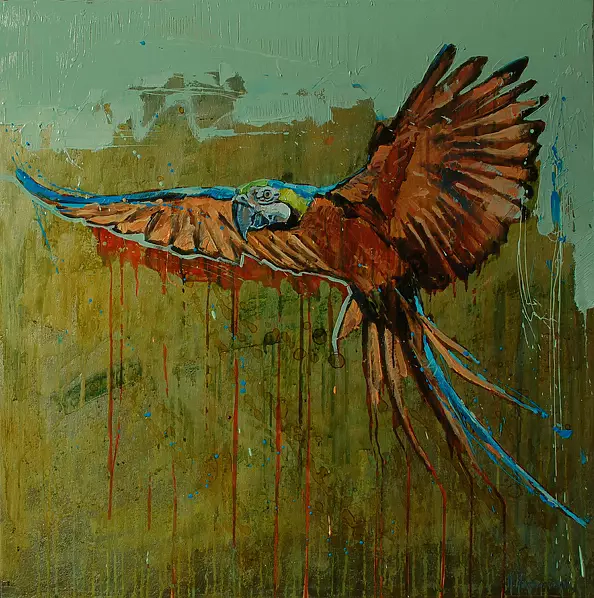 Marcin Mikołajczak - Dzika papuga