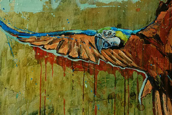 Marcin Mikołajczak - Dzika papuga