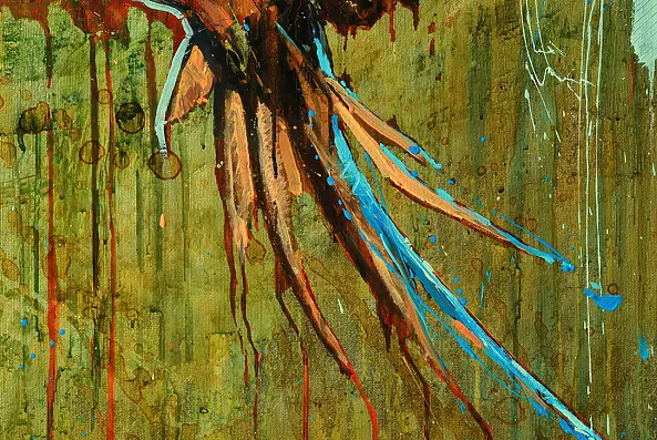 Marcin Mikołajczak - Dzika papuga