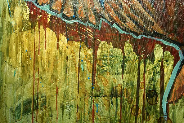 Marcin Mikołajczak - Dzika papuga