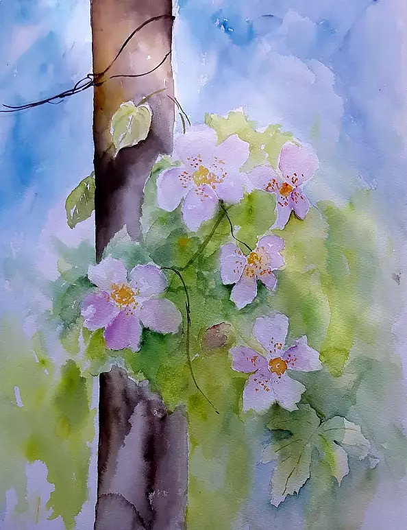 Krystyna Piotrowska - Dzika róża