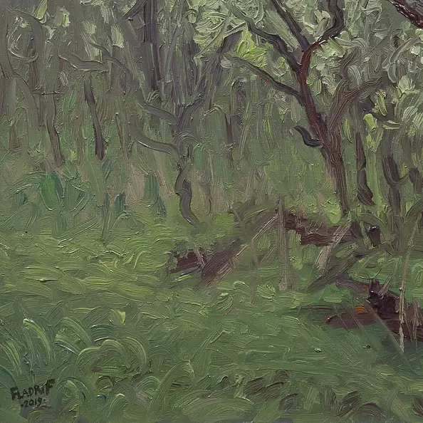 Wojciech Pater - Dziki Sad I