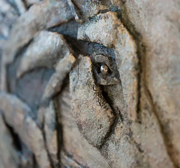 Agnieszka Osak - "Wild"