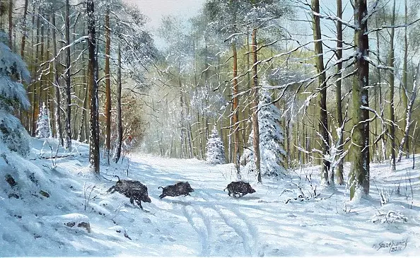 Marek Szczepaniak - Wild in the forest