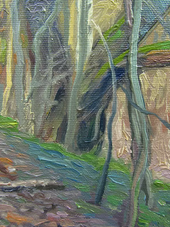 Wojciech Pater - Wild Trees III - Bystrzyckie Mountains III