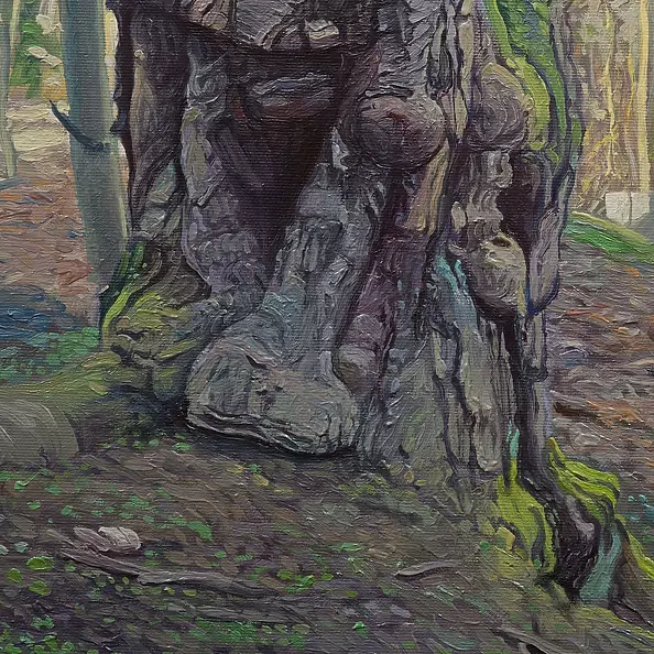 Wojciech Pater - Wild Trees III - Bystrzyckie Mountains III