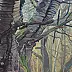 Wojciech Pater - Wild Trees III - Montagnes Bystrzyckie III