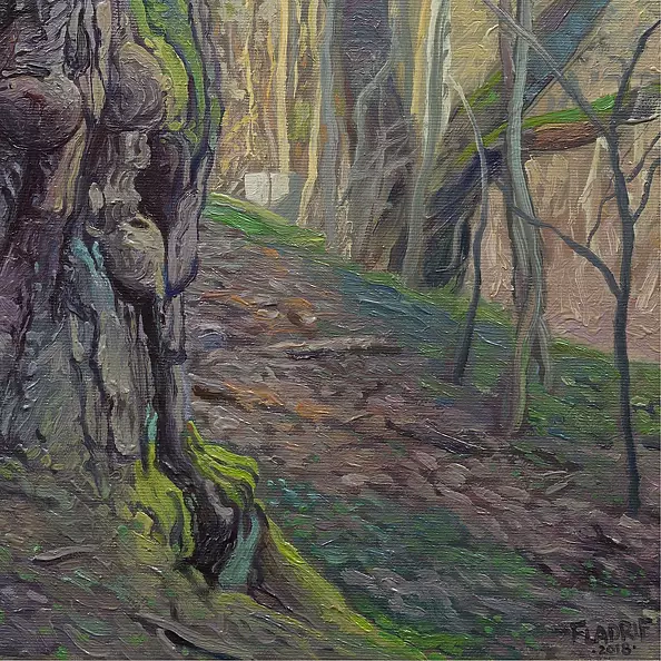 Wojciech Pater - Wild Trees III - Bystrzyckie Mountains III