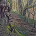 Wojciech Pater - Wild Trees III - Bystrzyckie Mountains III