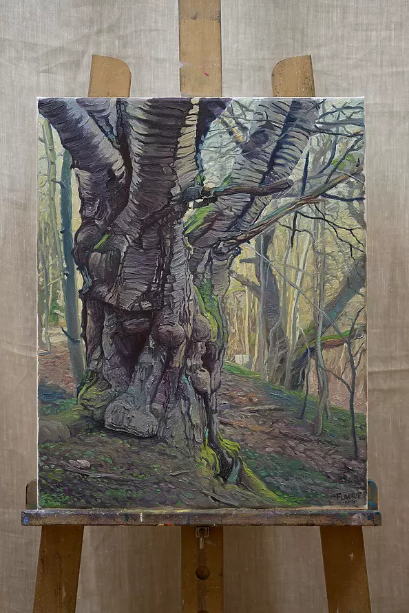 Wojciech Pater - Wild Trees III - Bystrzyckie Mountains III