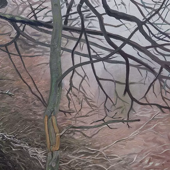 Wojciech Pater - Wild Trees II - Bystrzyckie Mountains II