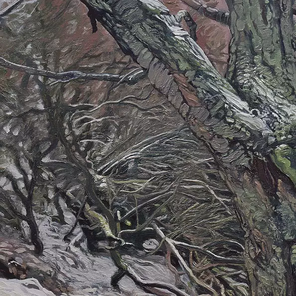 Wojciech Pater - Wild Trees II - Bystrzyckie Mountains II