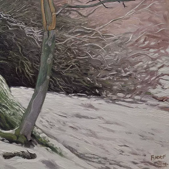 Wojciech Pater - Wild Trees II - Bystrzyckie Mountains II