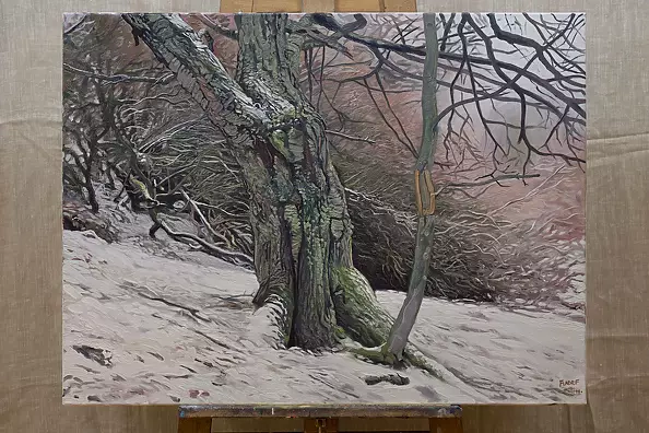 Wojciech Pater - Wild Trees II - Bystrzyckie Mountains II