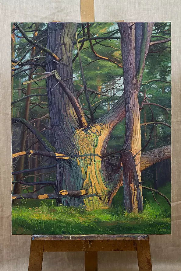 Wojciech Pater - Dzikie Drzewa IV - Bałtyk I