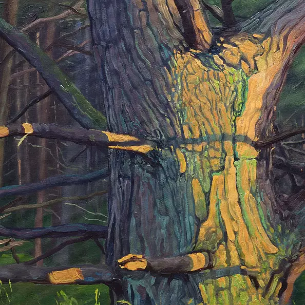 Wojciech Pater - Dzikie Drzewa IV - Bałtyk I