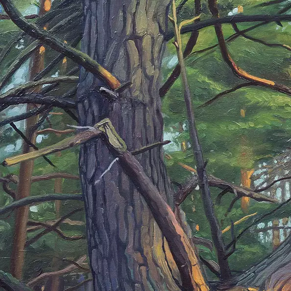 Wojciech Pater - Dzikie Drzewa IV - Bałtyk I